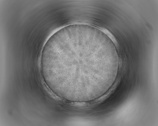 X0000110871052200907301409