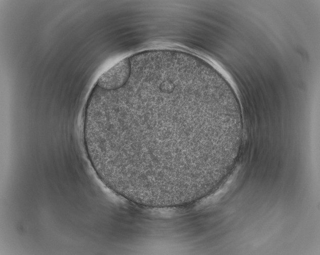 X0000110871053200907301409