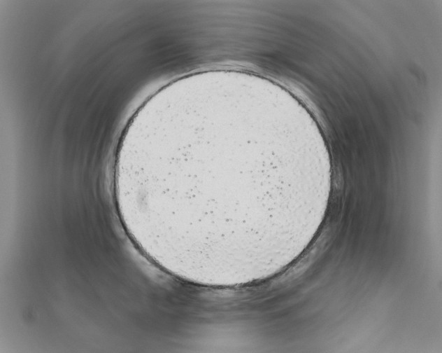 X0000110871054200907301409