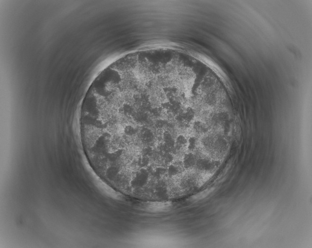 X0000110871055200907301409