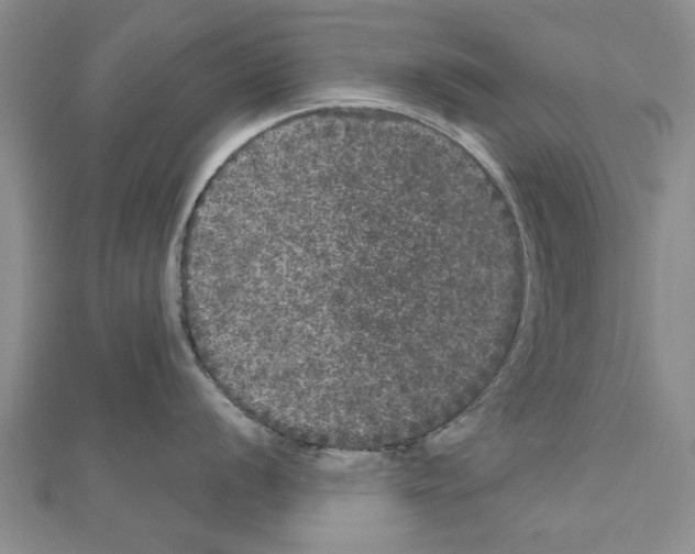 X0000110871056200907301409