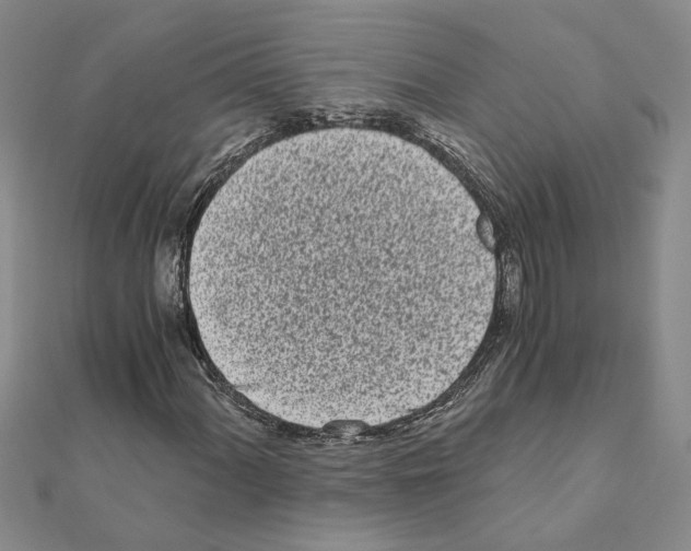 X0000110871060200907301409