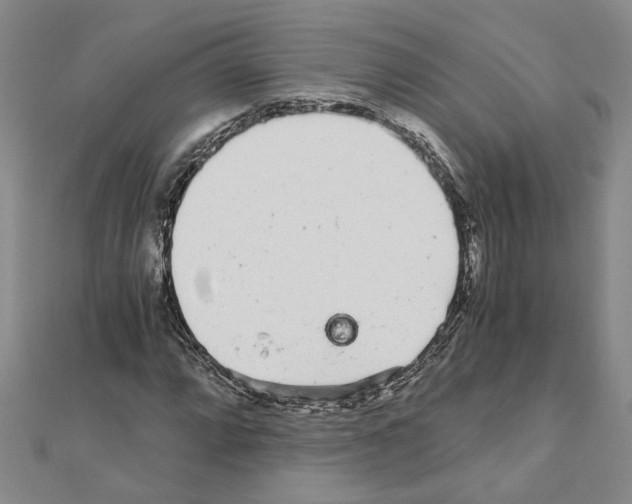 X0000110871064200907301409