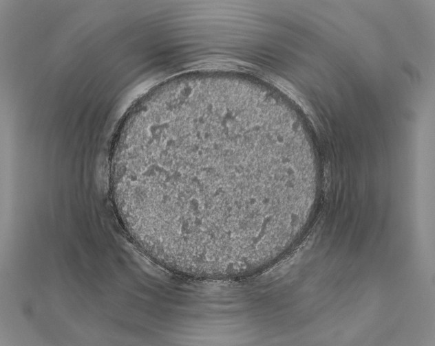 X0000110871067200907301408