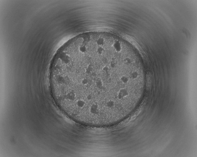 X0000110871071200907301408