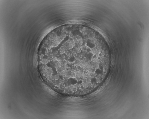 X0000110871075200907301408