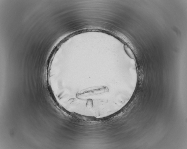 X0000110871076200907301408