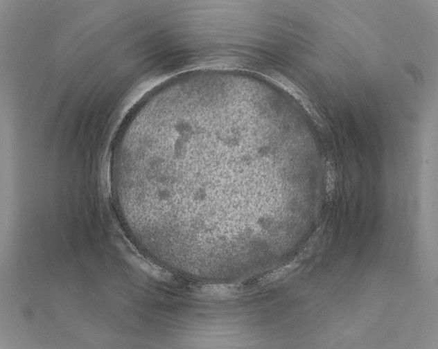 X0000110871078200907301408