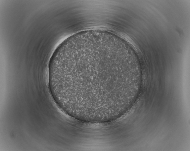 X0000110871079200907301408