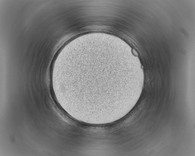 X0000110871082200907301408