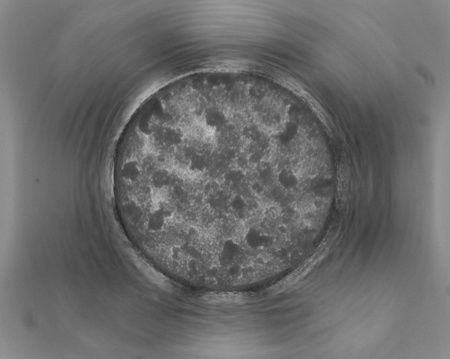 X0000110871083200907301408