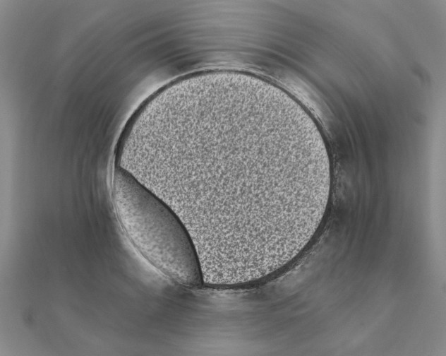 X0000110871084200907301408