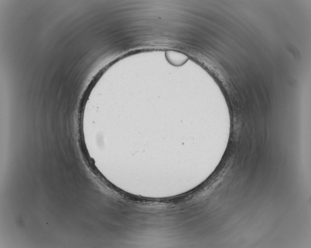 X0000110871085200907301408