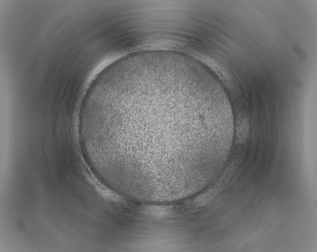 X0000110871086200907301408