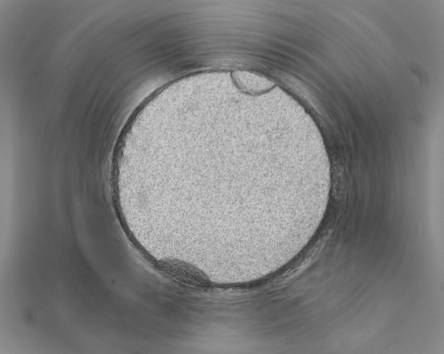 X0000110871087200907301408