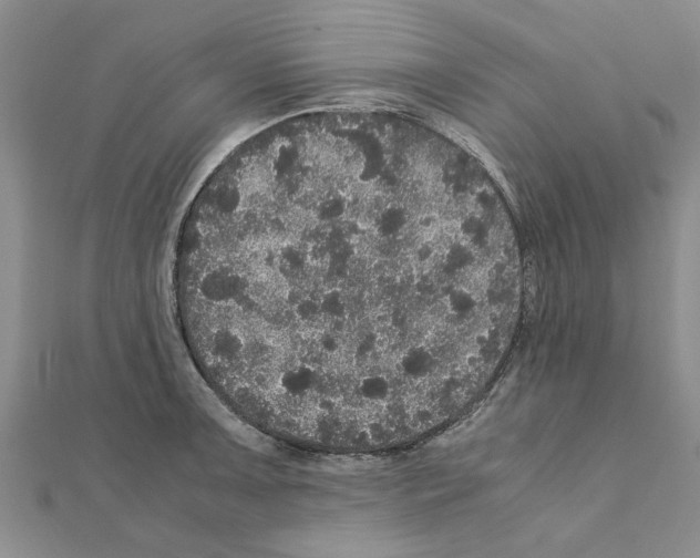 X0000110871091200907301408