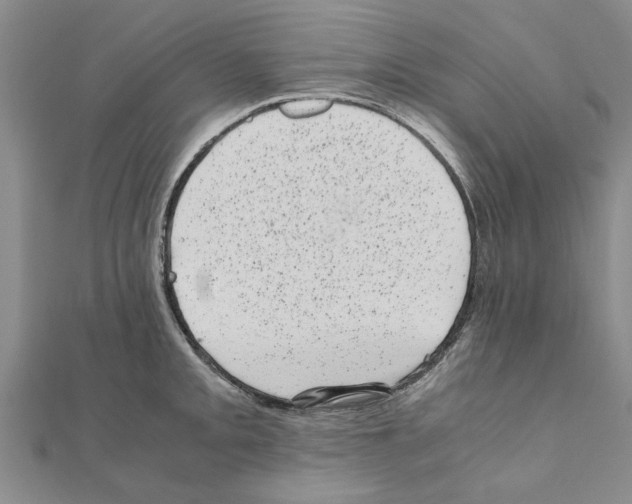 X0000110871093200907301408