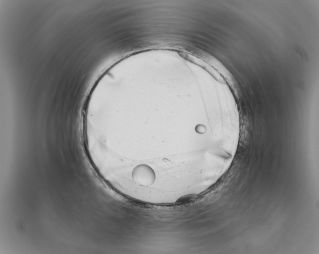 X0000110871096200907301408