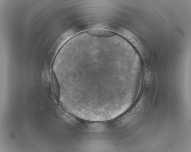 X0000110871097200907301408