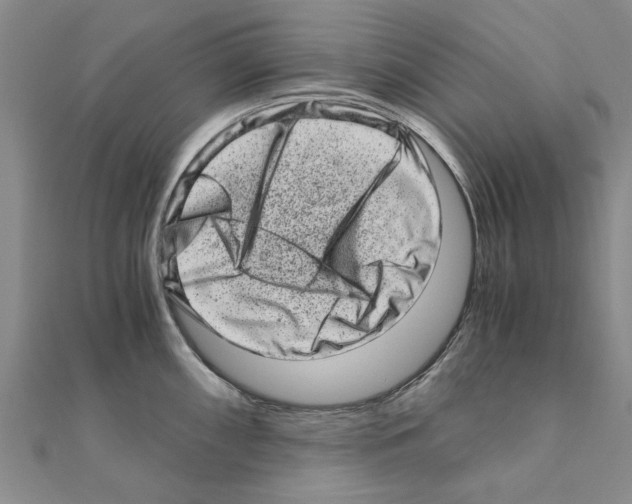 X0000110871098200907301408