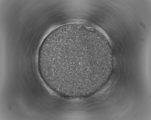 X0000110871099200907301408