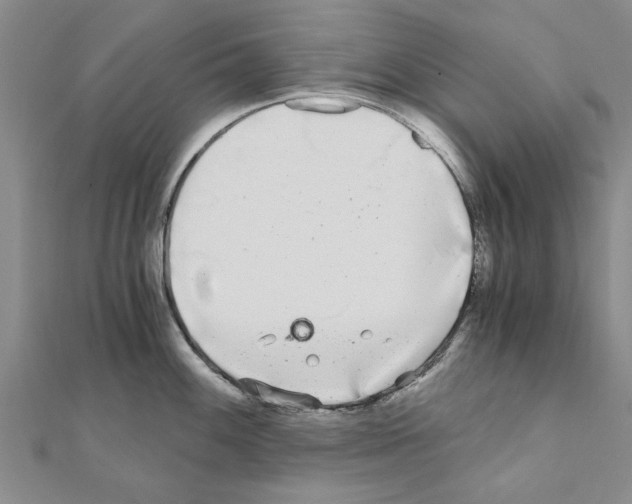 X0000110871100200907301408