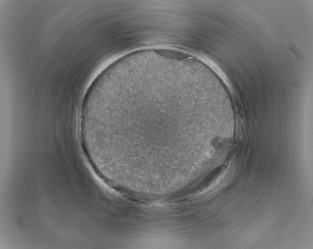 X0000110871101200907301408