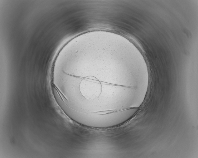 X0000110871104200907301408