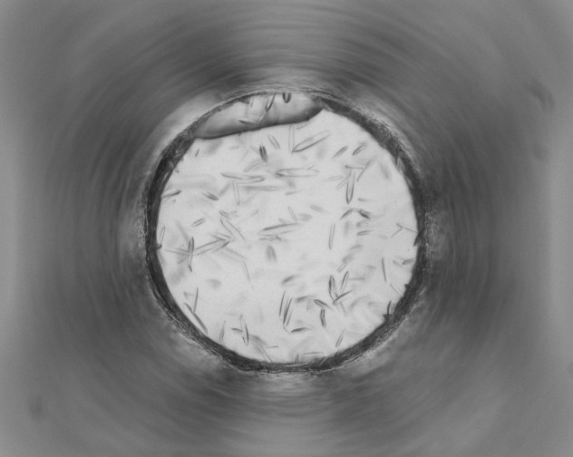 X0000110871114200907301407