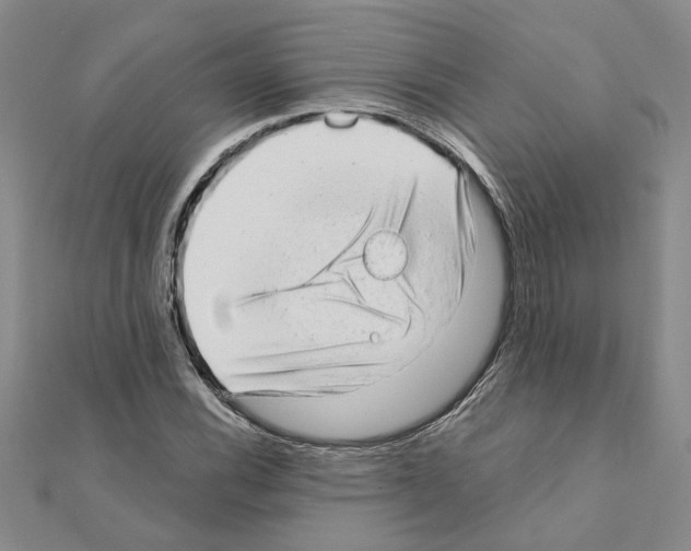 X0000110871116200907301407