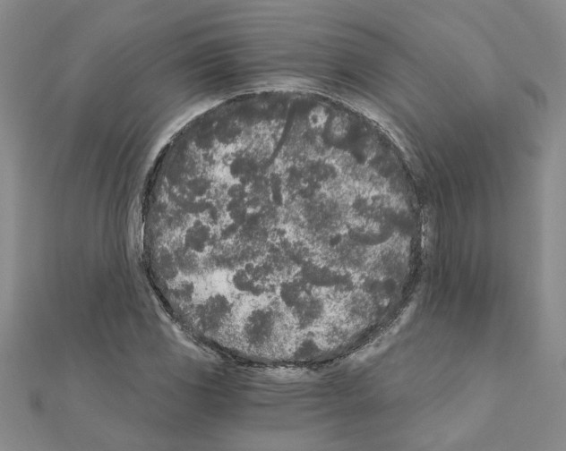 X0000110871117200907301407