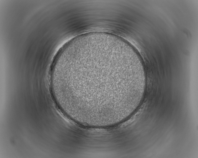 X0000110871119200907301407