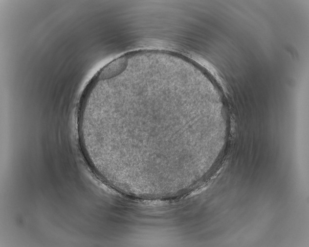 X0000110871120200907301407