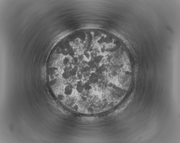 X0000110871121200907301407