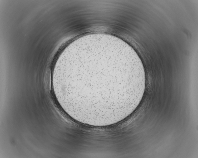 X0000110871123200907301407