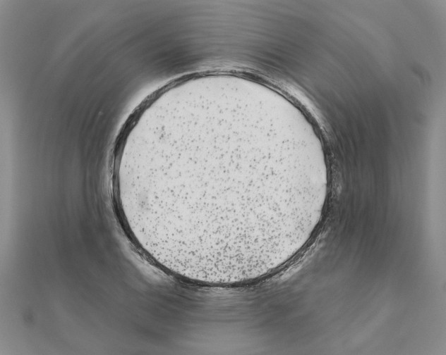 X0000110871124200907301407