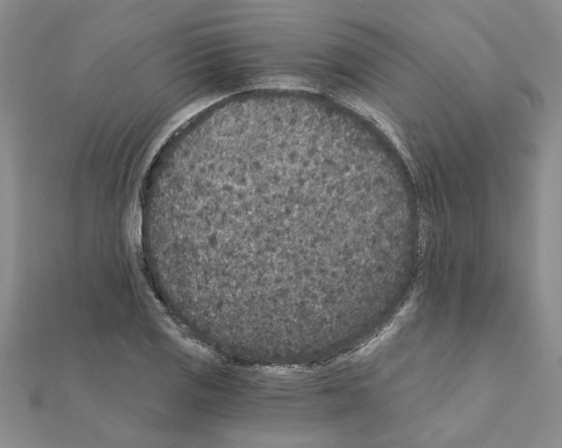 X0000110871125200907301407