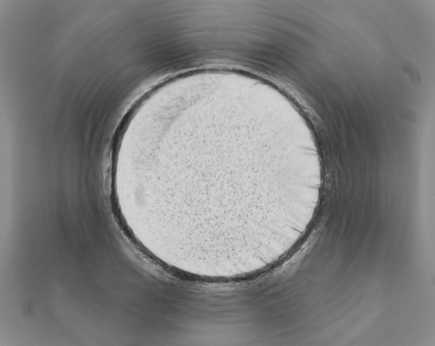 X0000110871126200907301407