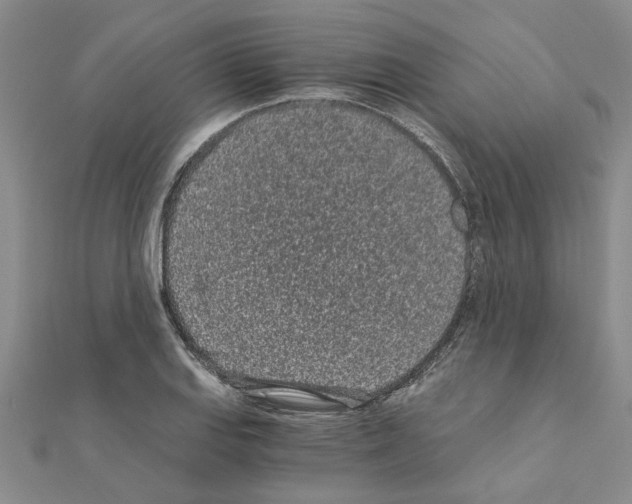 X0000110871127200907301407