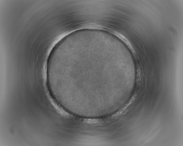 X0000110871128200907301407