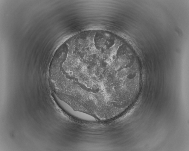 X0000110871129200907301407