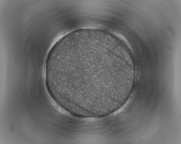 X0000110871130200907301407