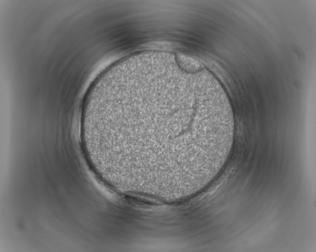 X0000110871131200907301407