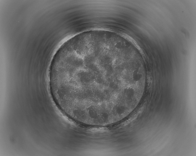 X0000110871133200907301408