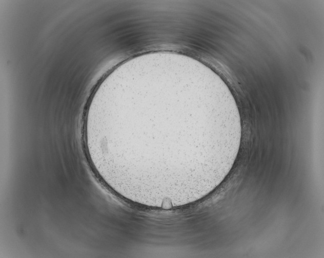 X0000110871135200907301408