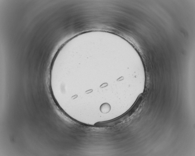 X0000110871136200907301408