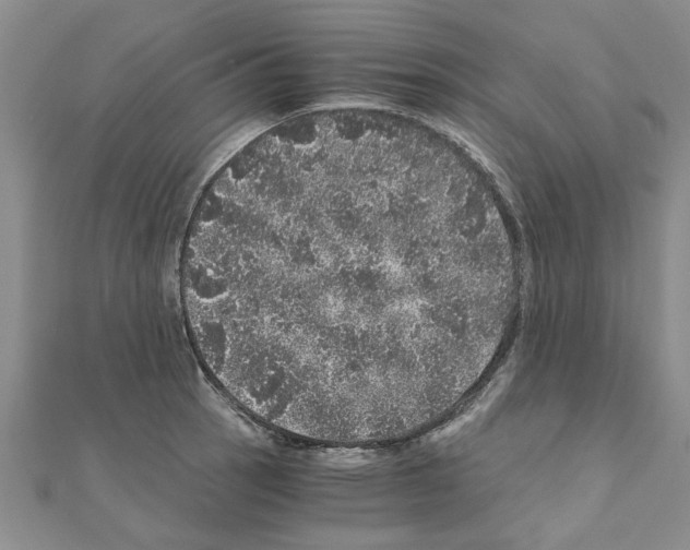 X0000110871137200907301408