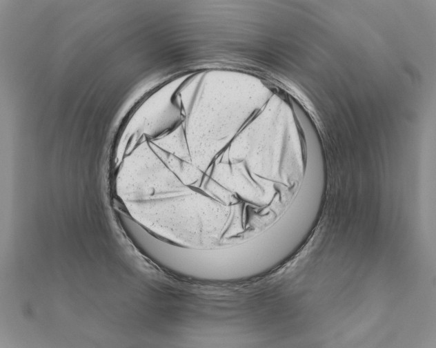 X0000110871138200907301408