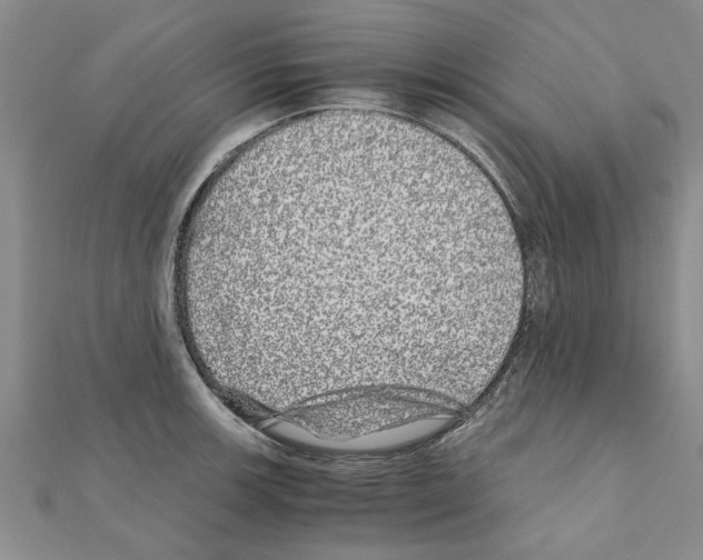 X0000110871139200907301408