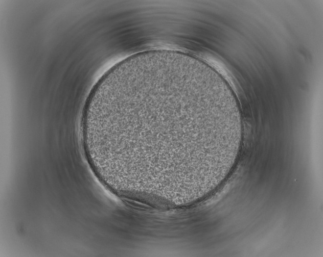 X0000110871141200907301408